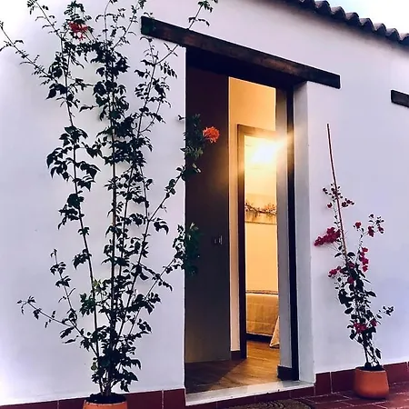 Apartmán Duplex El Espejo De La Mezquita *
