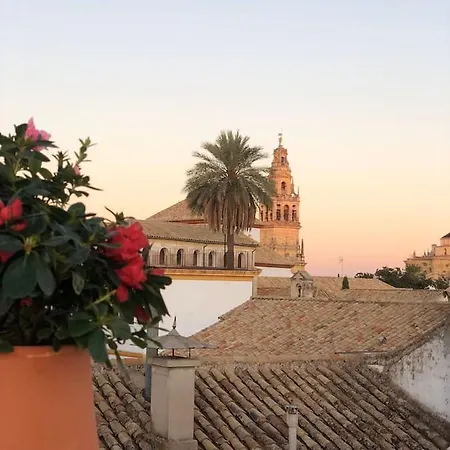 Duplex El Espejo De La Mezquita * Cordoba